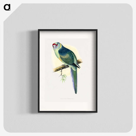 1-29_Parrots-in-Captivity_blk