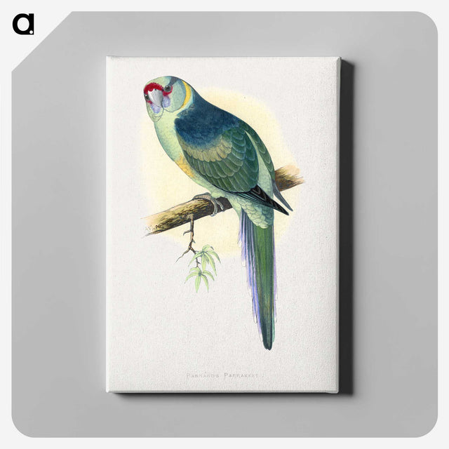 1-29_Parrots-in-Captivity_canvas