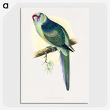 1-29_Parrots-in-Captivity_picture-crop