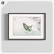 アートポスター-Spectacled Teal and Snow-bent Bamboo
 - 鳥類図鑑 Poster.