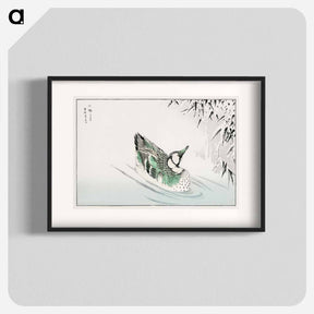 アートポスター-Spectacled Teal and Snow-bent Bamboo
 - 鳥類図鑑 Poster.