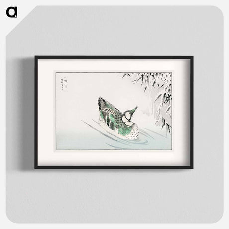 アートポスター-Spectacled Teal and Snow-bent Bamboo
 - 鳥類図鑑 Poster.