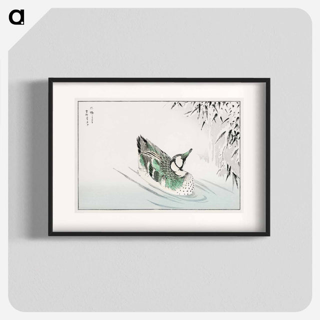 アートポスター-Spectacled Teal and Snow-bent Bamboo
 - 鳥類図鑑 Poster.