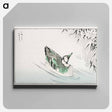 アートパネル-Spectacled Teal and Snow-bent Bamboo
 - 鳥類図鑑 Canvas.