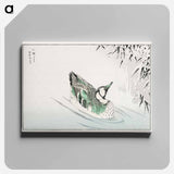アートパネル-Spectacled Teal and Snow-bent Bamboo
 - 鳥類図鑑 Canvas.