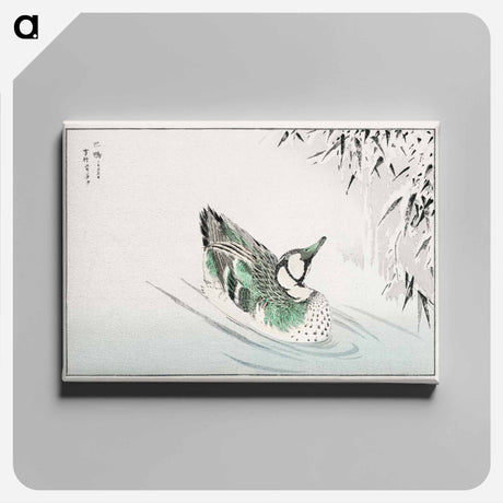 アートパネル-Spectacled Teal and Snow-bent Bamboo
 - 鳥類図鑑 Canvas.