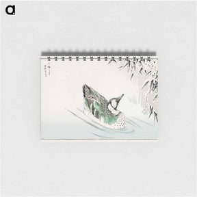 アートメモ帳-Spectacled Teal and Snow-bent Bamboo
 - 鳥類図鑑 Memo.