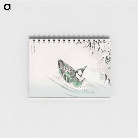 アートメモ帳-Spectacled Teal and Snow-bent Bamboo
 - 鳥類図鑑 Memo.