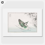 アートポスター-Spectacled Teal and Snow-bent Bamboo
 - 鳥類図鑑 Poster.