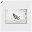 アートポストカード-Spectacled Teal and Snow-bent Bamboo
 - 鳥類図鑑 Postcard.