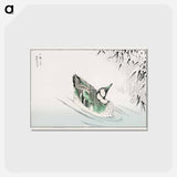 アートポストカード-Spectacled Teal and Snow-bent Bamboo
 - 鳥類図鑑 Postcard.