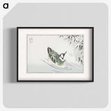 1-29_Pictorial-Monograph-of-Birds_blk
