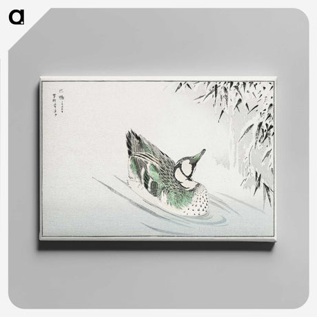 1-29_Pictorial-Monograph-of-Birds_canvas