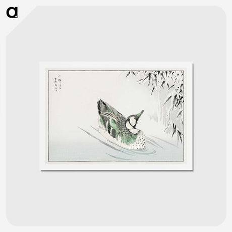 1-29_Pictorial-Monograph-of-Birds_hagaki