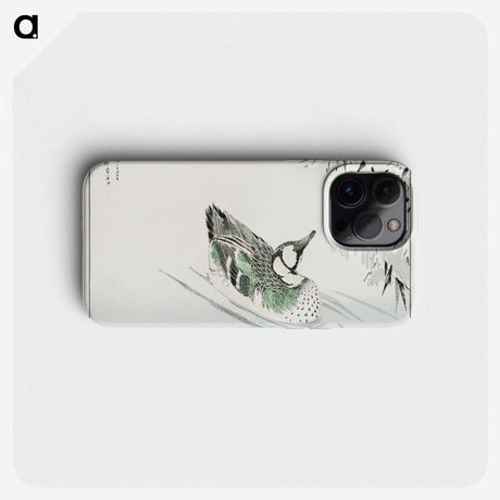 1-29_Pictorial-Monograph-of-Birds_phone