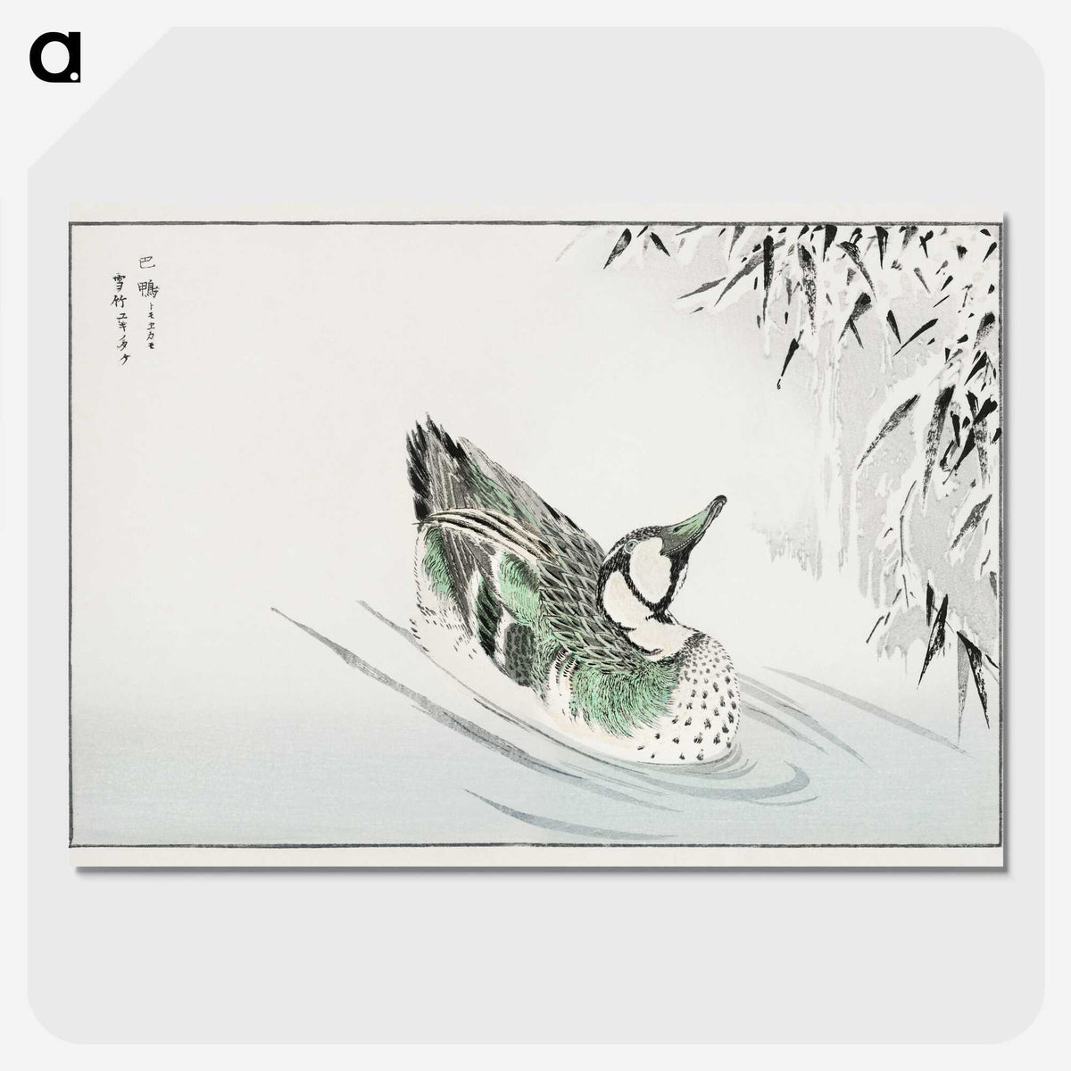 1-29_Pictorial-Monograph-of-Birds_picture-crop