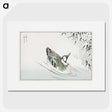 1-29_Pictorial-Monograph-of-Birds_picture