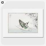 1-29_Pictorial-Monograph-of-Birds_picture