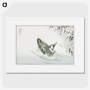 1-29_Pictorial-Monograph-of-Birds_picture