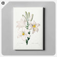 アートパネル-Madonna Lily - ピエール ジョゼフ ルドゥーテ Canvas.