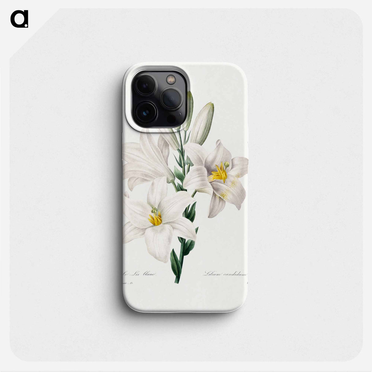 Madonna Lily - ピエール ジョゼフ ルドゥーテ Phone Case.