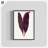 1-29_Plants-with-Colored-Foliage_blk-crop