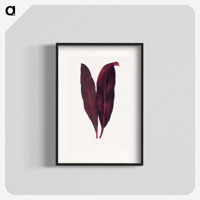 1-29_Plants-with-Colored-Foliage_blk
