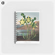 アートメモ帳-Pitcher Plant from The Temple of Flora
 - ロバート ジョン ソーントン Memo.