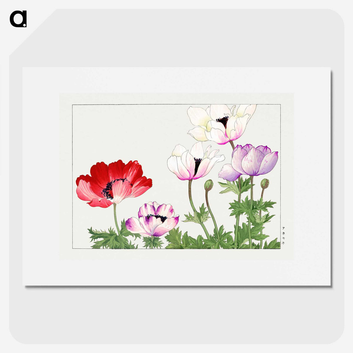 1-29_Seiyo-Soka-Zufu_picture