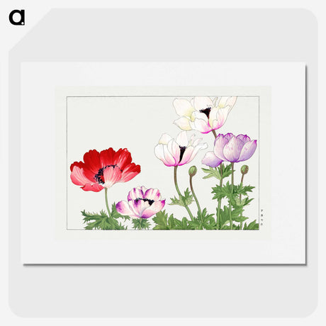 1-29_Seiyo-Soka-Zufu_picture