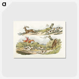 1-29_Sporting-Sketches_postcard