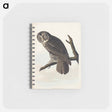 アートメモ帳-Great Cinereous Owl from Birds of America
 - アメリカの鳥たち Memo.