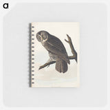 アートメモ帳-Great Cinereous Owl from Birds of America
 - アメリカの鳥たち Memo.