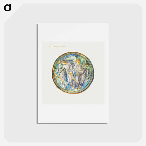 Scattered Starwort
 - フラワーブック Postcard.