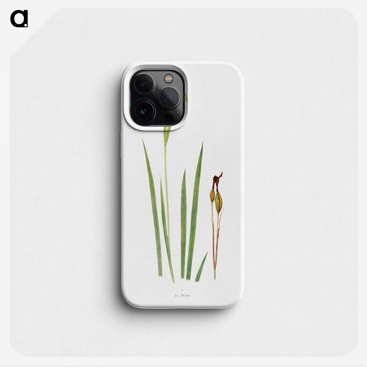 1-29_The-Genus-Iris_phone