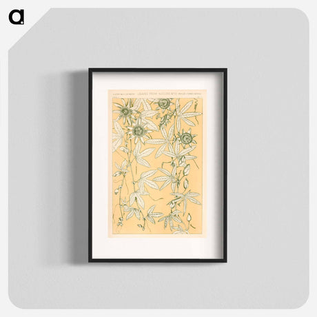 アートポスター-Nineteenth-Century Ornament
 - 装飾の文法 Poster.