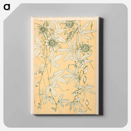 アートパネル-Nineteenth-Century Ornament
 - 装飾の文法 Canvas.