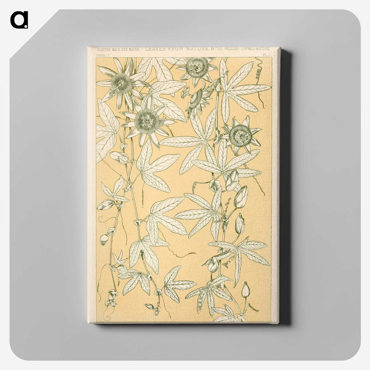 1-29_The-Grammar-of-Ornament_canvas