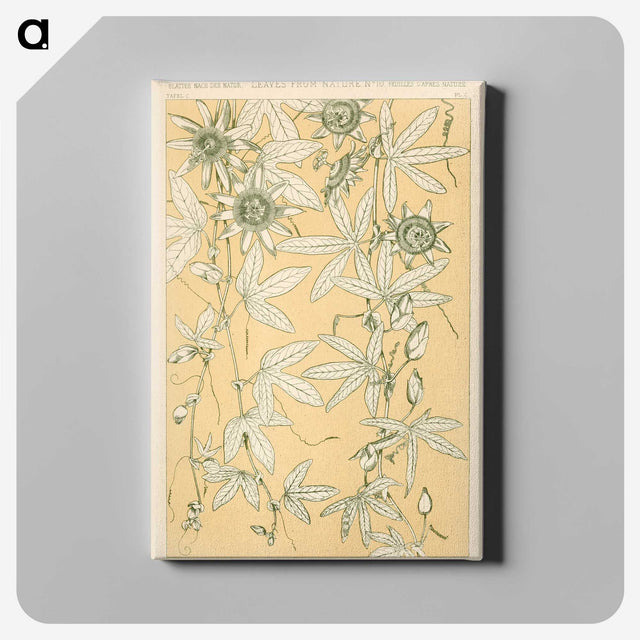 1-29_The-Grammar-of-Ornament_canvas