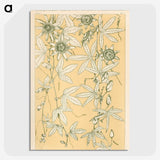 1-29_The-Grammar-of-Ornament_picture-crop