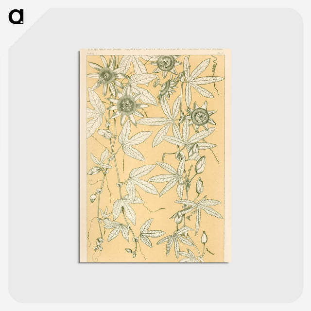 1-29_The-Grammar-of-Ornament_postcard
