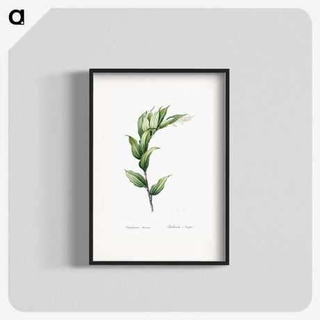 1-29_The-Lilies_blk