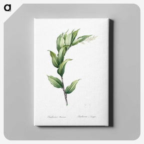 1-29_The-Lilies_canvas