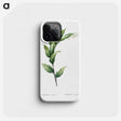 1-29_The-Lilies_phone