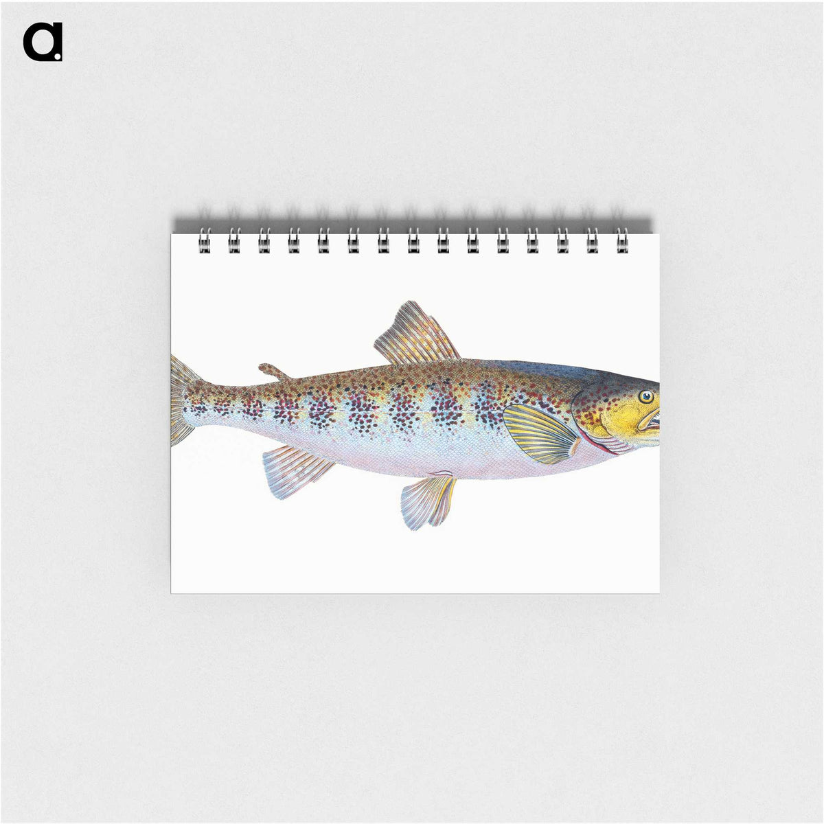 1-29_The-Natural-History-of-British-Fishes_memo