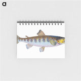 1-29_The-Natural-History-of-British-Fishes_memo