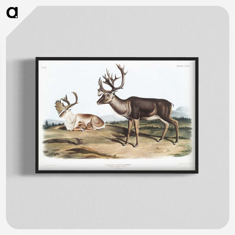 1-29_The-Viviparous-Quadrupeds_blk-crop