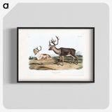 1-29_The-Viviparous-Quadrupeds_blk