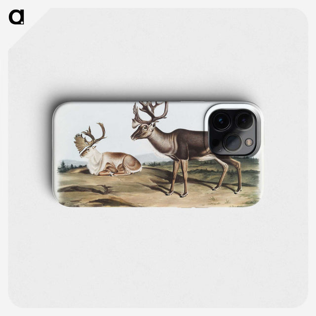 1-29_The-Viviparous-Quadrupeds_phone