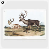 1-29_The-Viviparous-Quadrupeds_picture-crop